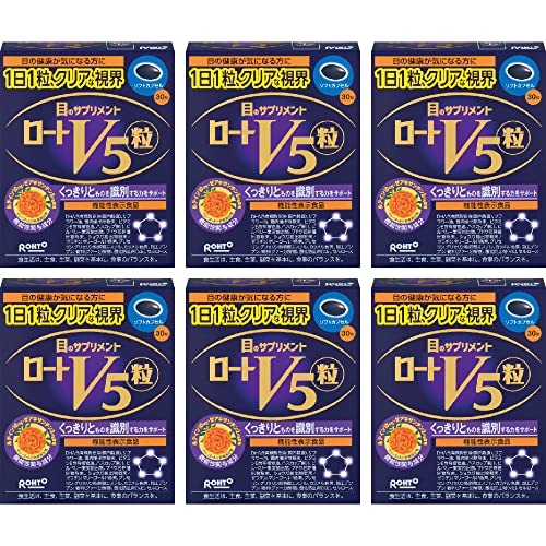 ロートV5粒 30錠×6個セット