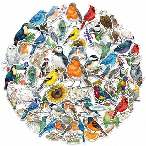 50 PCS Bird Stickers Colorful Bird Vinyl Waterproof Stickers for Water Bottles Laptop Notebook Scrapbook Luggage Phone Skateboard & Helmet Bird Lover Aesthetic Decals
