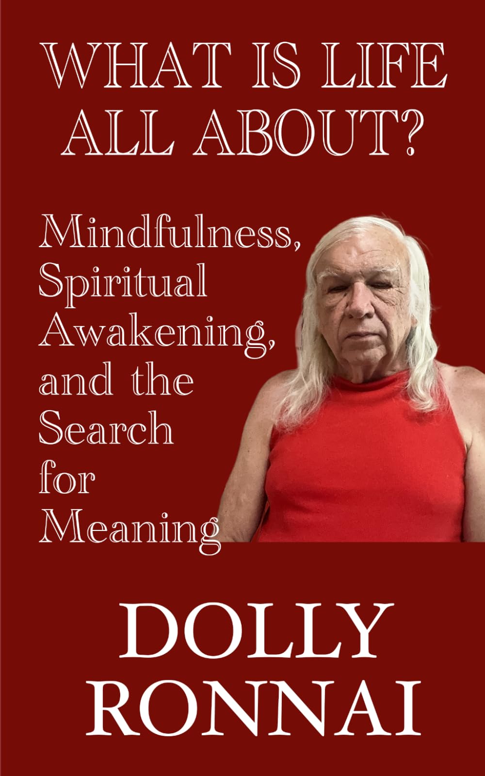What is Life All About?: Mindfulness, Spiritual Awakening, and the Search for Meaning