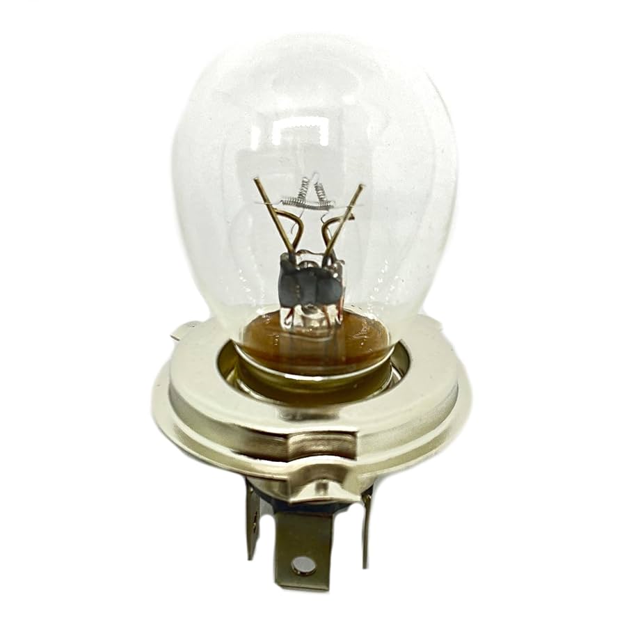 ウポ　30球 Amazon.com: Polaris ATV Bulb, H/L, Genuine OEM Part 4030028