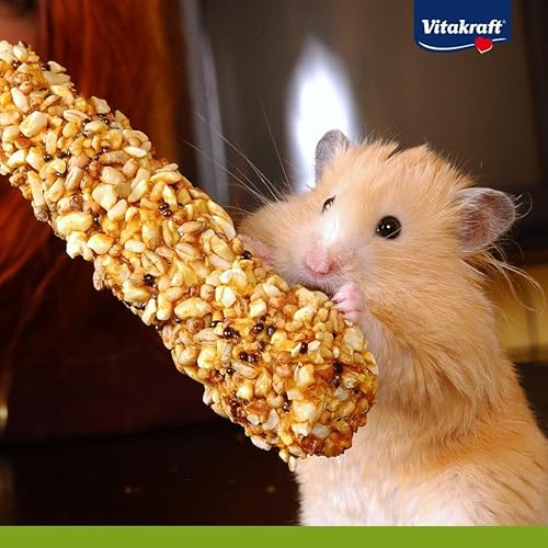 Vitakraft Kräcker, Knabberstangen, Nagersnack, für Chinchillas, zur Zahnpflege, mit Kräutern, mit Hagebutte, ohne Zusatz von Zucker und Getreide (10x 112g)