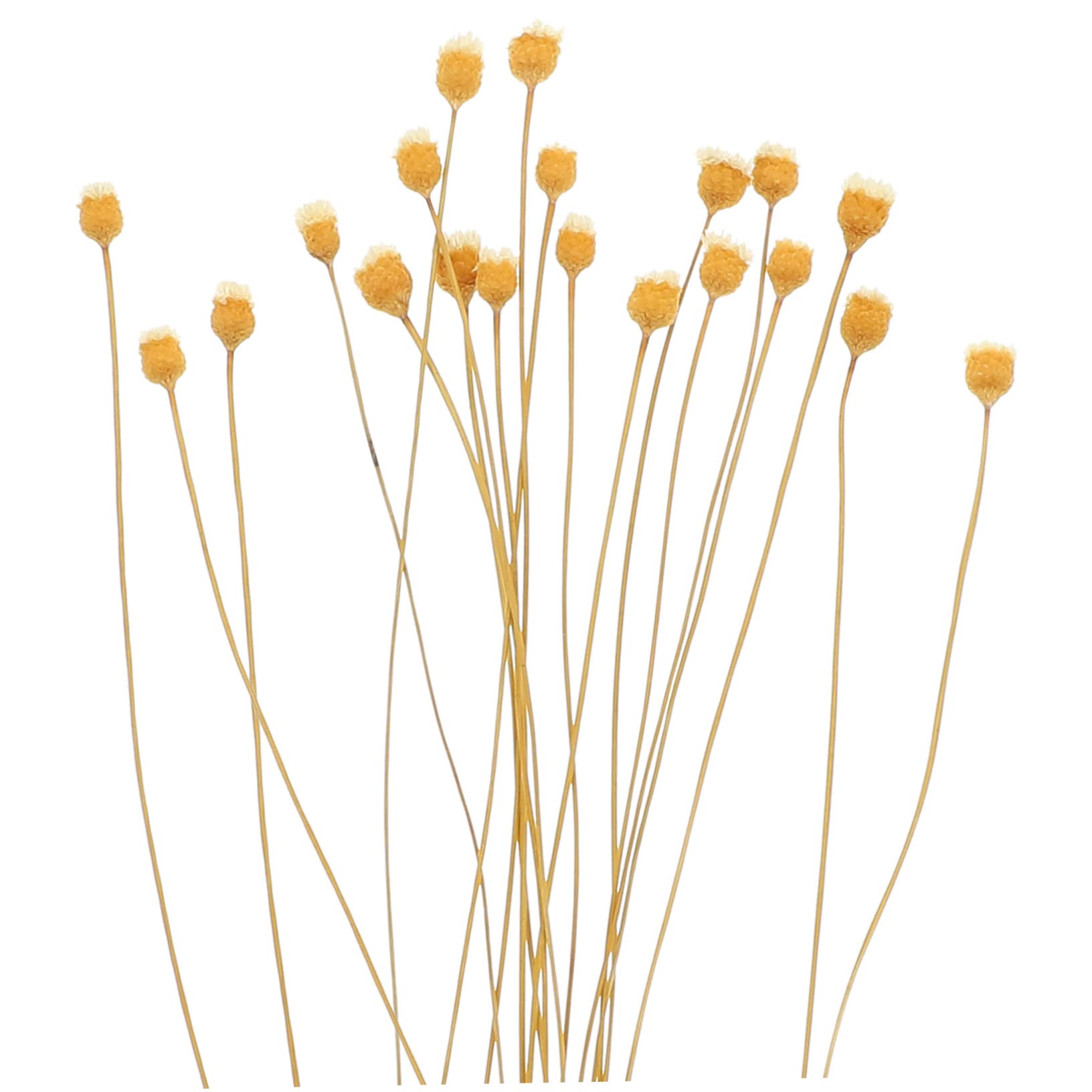 GRIRIW 100pcs Diffuser Sticks Natural Rattan Sticks for Diffuser Decorative Flower Design for Fragrance Decor