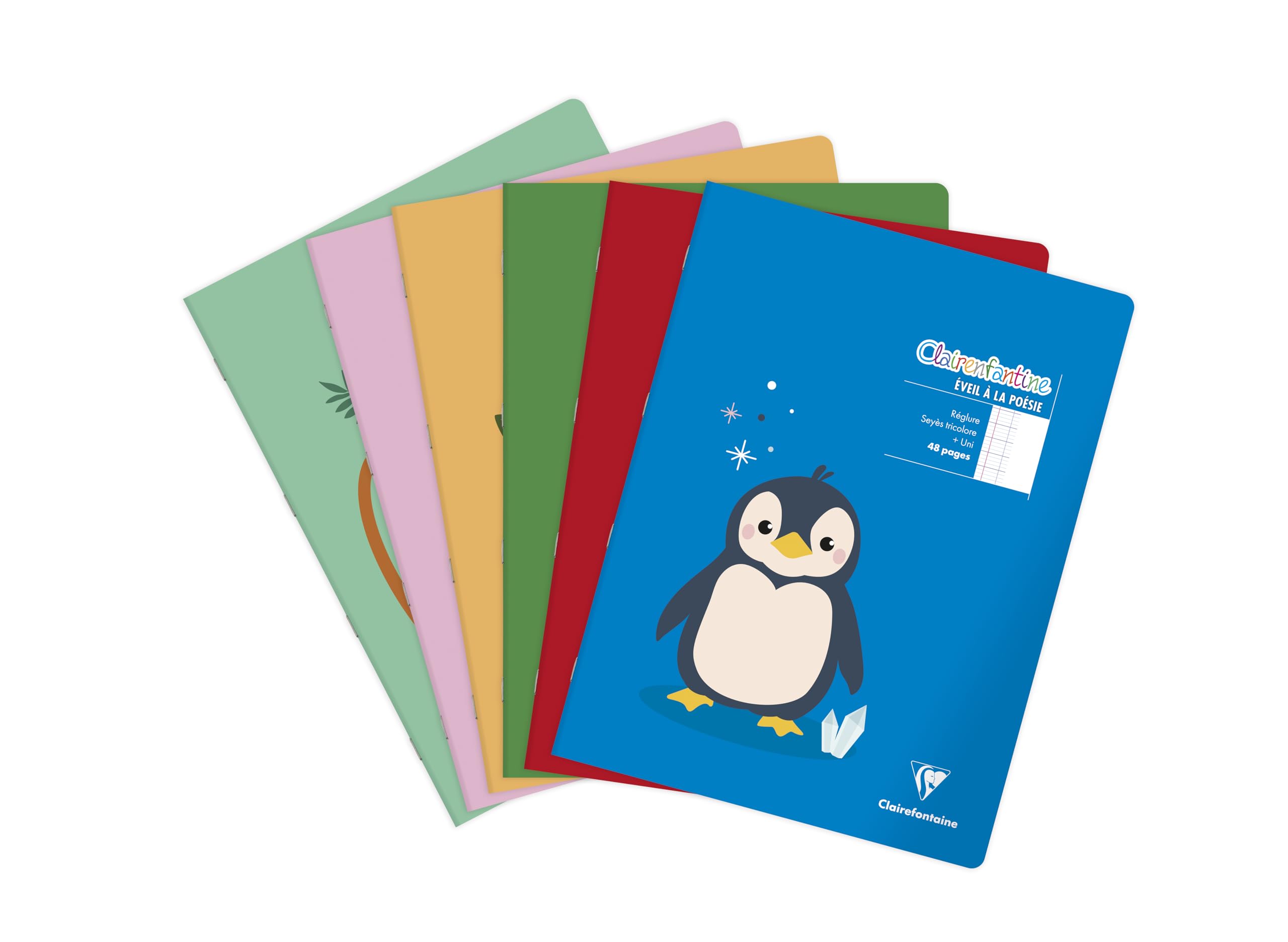Clairefontaine 36750C zeszyty x20 do poezji, 32 cm, 90 g, 48 stron