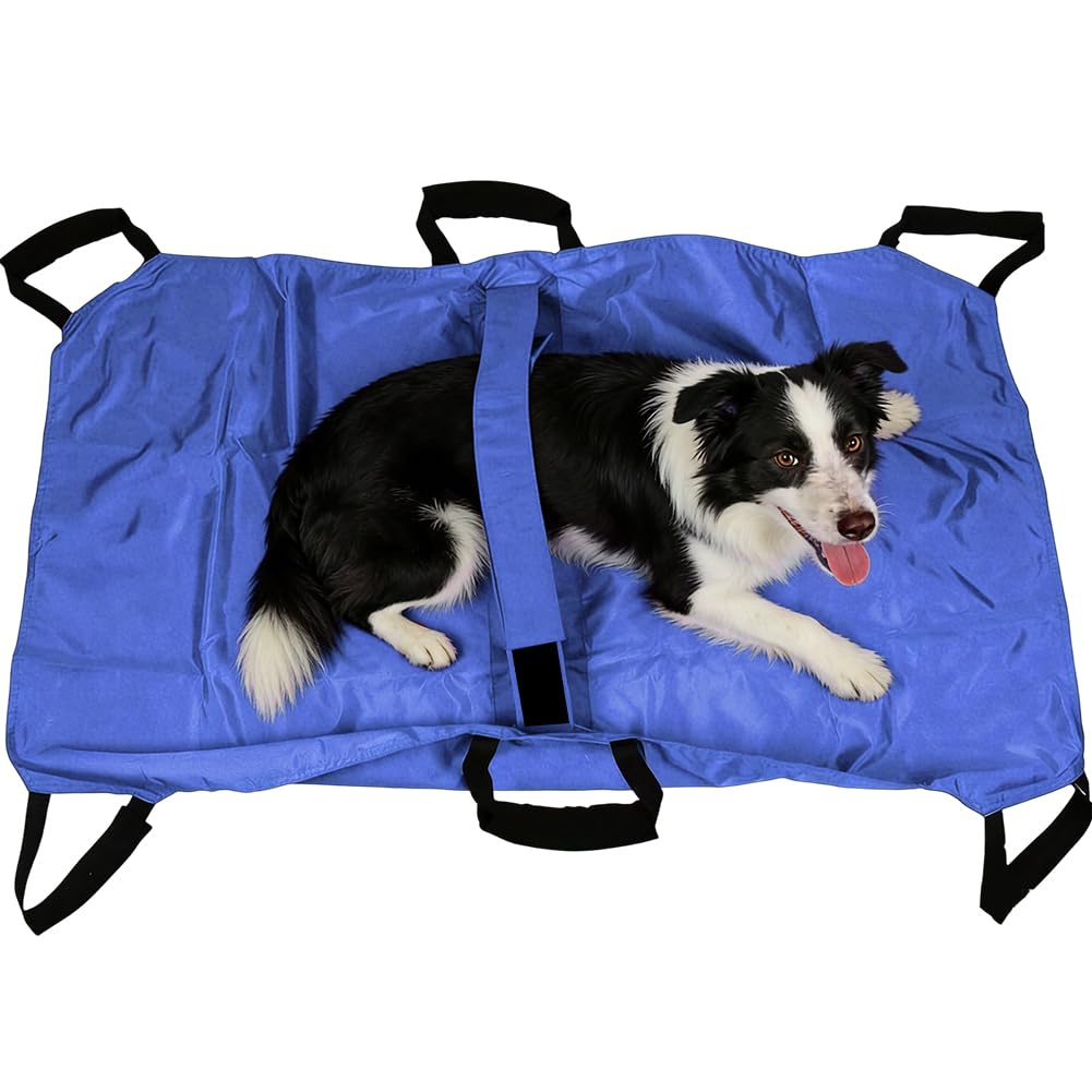 Hundetrage Tragehilfe Hund bis 60kg - Faltbare Ganzkörper-Tragehilfe mit 6 Griffen & Anti-Bite - Ideal für Tierarzt, Notfall & Reise - Für große Hunde & Senioren (Blau)