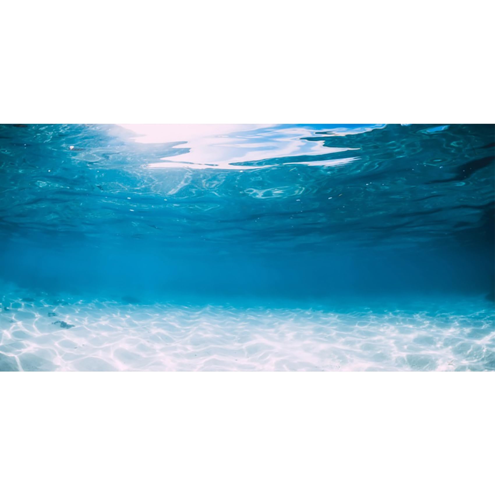 MIRRORANG 61x41cm Underwater World Fish Tank Poster Background Ocean Floor Aquarium Background Decoration for Fish Tank — image 1
