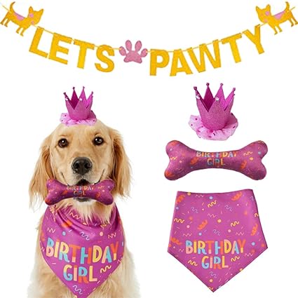 IDOLPET Dog Birthday Bandana Large Dog Birthday Hat Happy Birthday Dog Bone Toy Dog Party Set Pet Happy Birthday Party Suppliers Dog Birthday Banner Scarf Birthday Accessories and Pet Decorations Pink