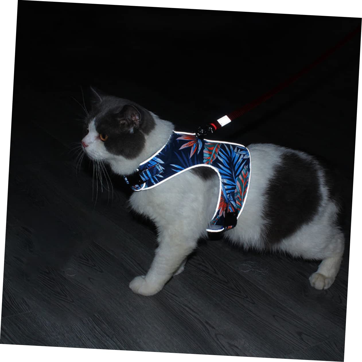 Didiseaon 3sets Pettorina Cat Luminosa e Traspirante Con Guinzaglio Per Gatti Piccoli e Medi Design Riflettente Per Passeggiate Notturne Comoda e Sicura Per Tuo Felino
