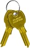 Salsbury Industries 3599 Key Blanks, Brass