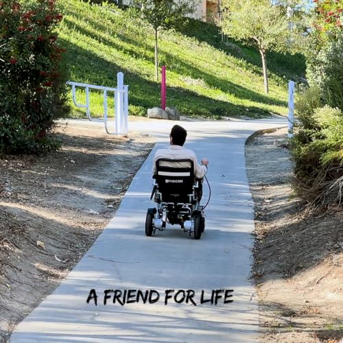 Image of Rubicon DX14 - Longest Range 30 Miles, Airline Approved Electric Wheelchair, Dual 12AH Lithium Batteries, 2x300W Motors, Leather Cushion, Foldable, Lightweight & Powerful (Model19)