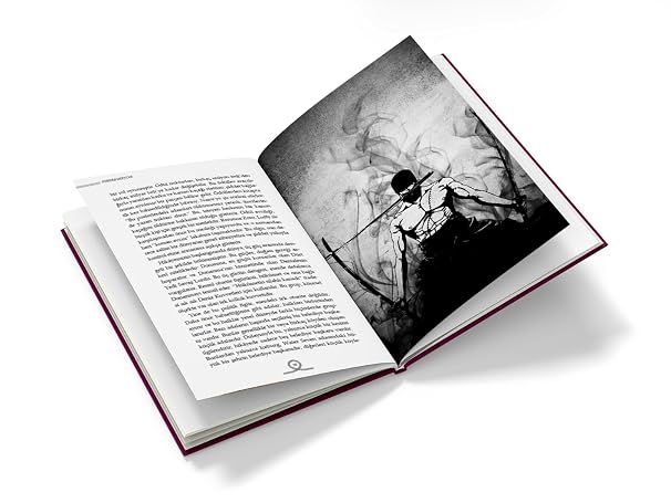 One Piece: Güç Dersleri