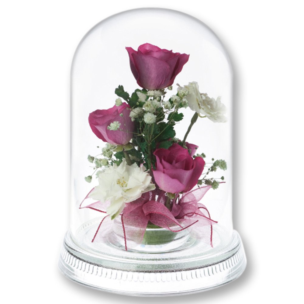 Amazon｜レンデフロール バラ・千鳥草・かすみ草 R-L｜ドライフラワー