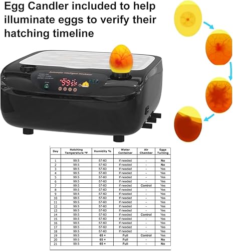Miniatura 6 de Incubadora de huevos de pollo para incubar pollitos  Capacidad para 10 huevos de gallina  Giratorio automático de huevos  Pantalla digital de