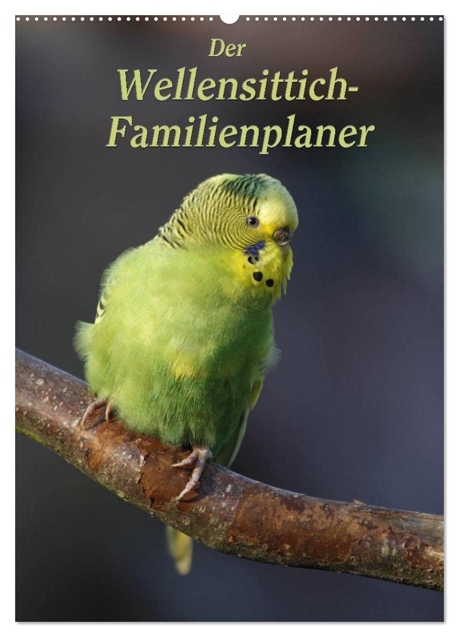 CALVENDO - Der Wellensittich-Familienplaner (Wandkalender 2027 DIN A2 hoch), Monatskalender: Putzige Piepmätze