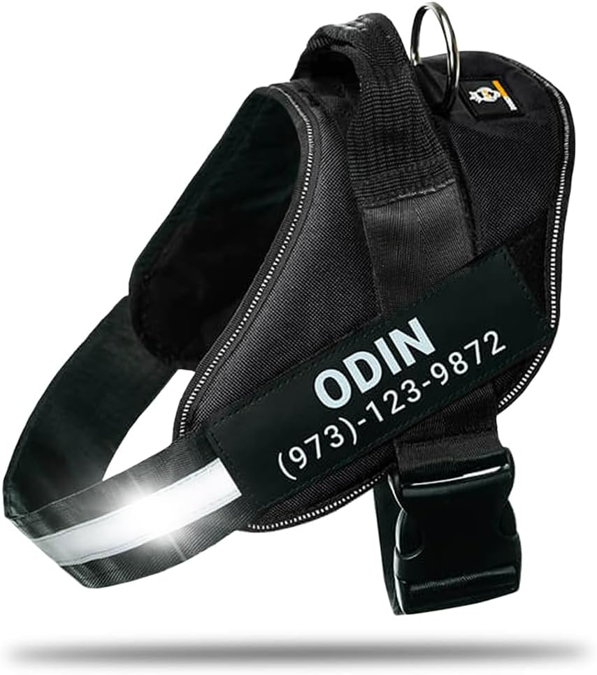 Personalized No-Pull Dog Harness with Name Patch, Adjustable, Reflective, Padded, Heavy Duty Pet Vest to Prevent Tugging, Pulling, or Choking, Training and Walking, Black, L