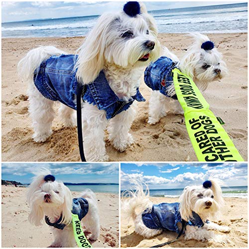 Brocarp Dog Jean Jacket, Blue Denim Lapel Vest Coat T-Shirt Costume Cute Girl Boy Dog Puppy Clothes, Comfort and Cool Apparel, for Small Medium Dogs Cats, Machine Washable Dog Outfits (Medium, Blue) - Thumbnail 7