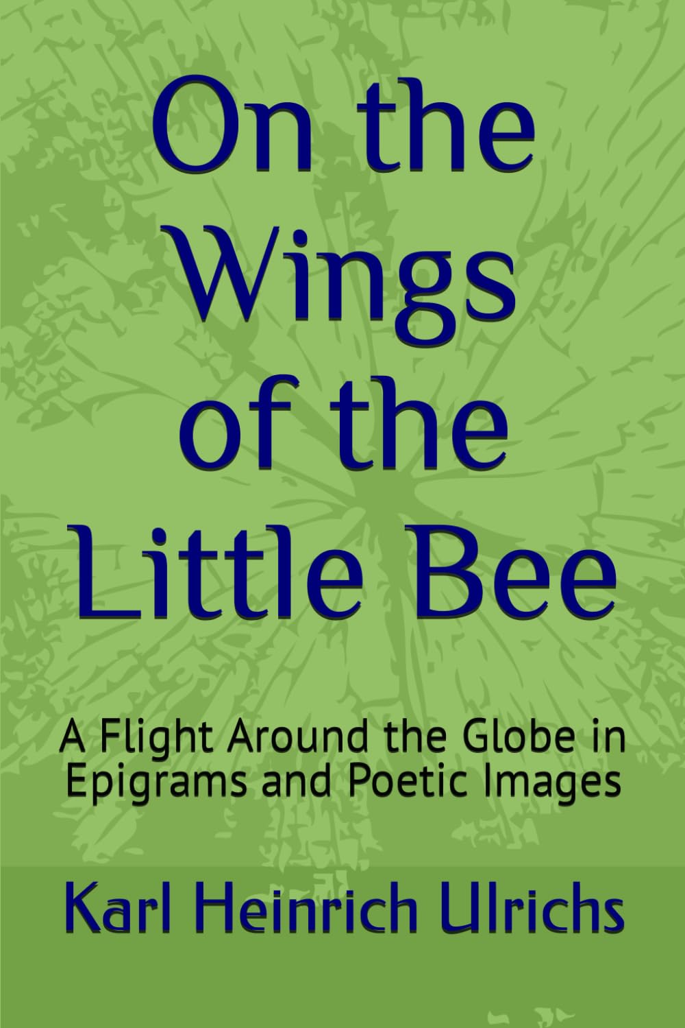 On the Wings of the Little Bee (Book I) A Flight Around the Globe in