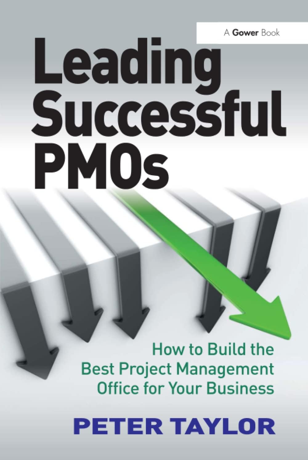 Leading Successful PMOs: How to Build the Best Project Management Office for Your Business 1st Edition