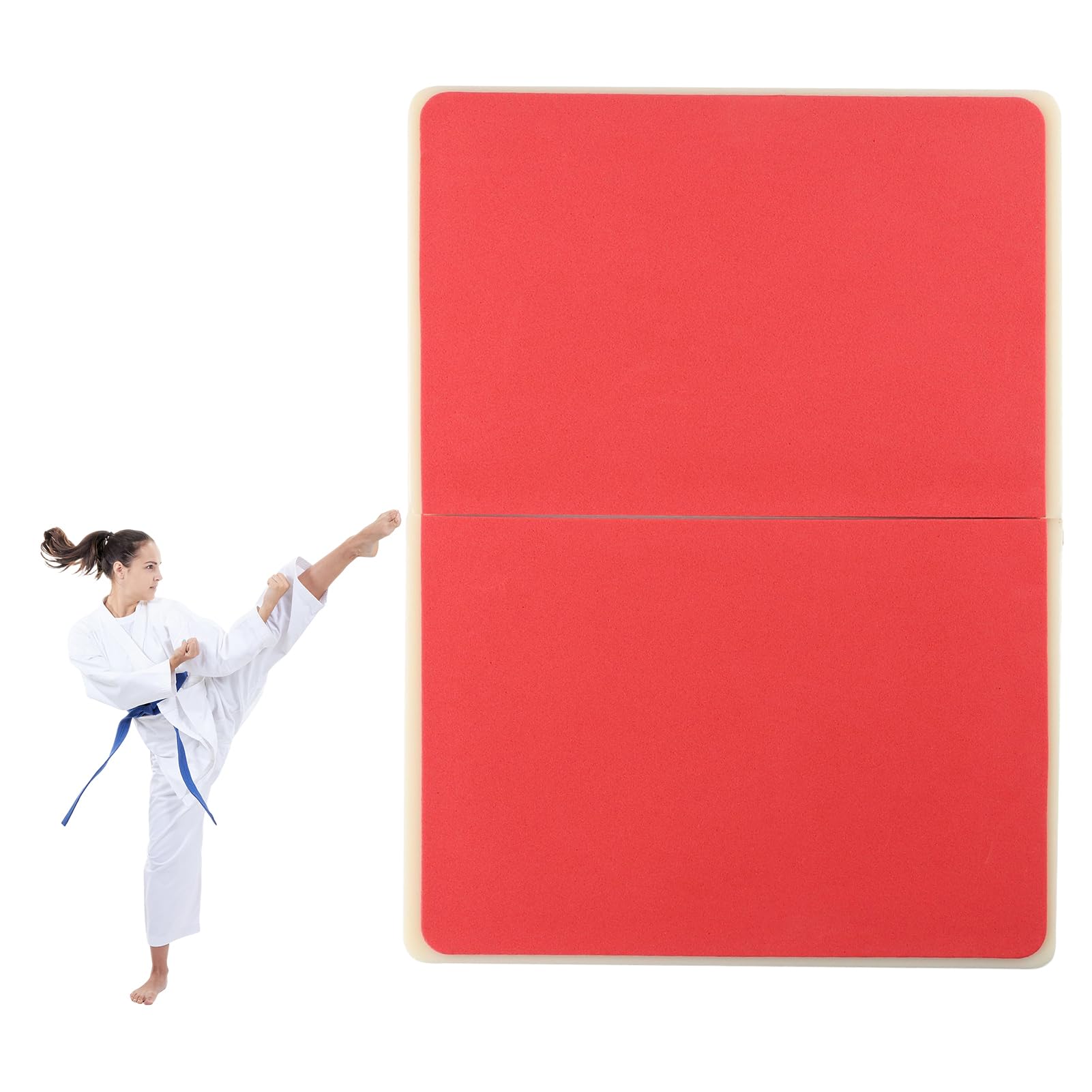 Tableaux de cible Taekwondo ABS réutilisables pour entraînement arts martiaux