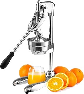 Handpressad Fruktpress,Handpressad Fruktjuicermaskin med 304-Trycklock och Filterlåda, Avtagbar och Lätt att Rengöra,Silver