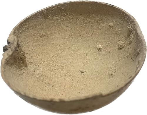 Miniatura 3 de jicaras de guira jicaras de santeria (3 piezas por pedido) elegua shango yemaya oshun orulaoya obbatala oggun herramientas de santeria herramientas