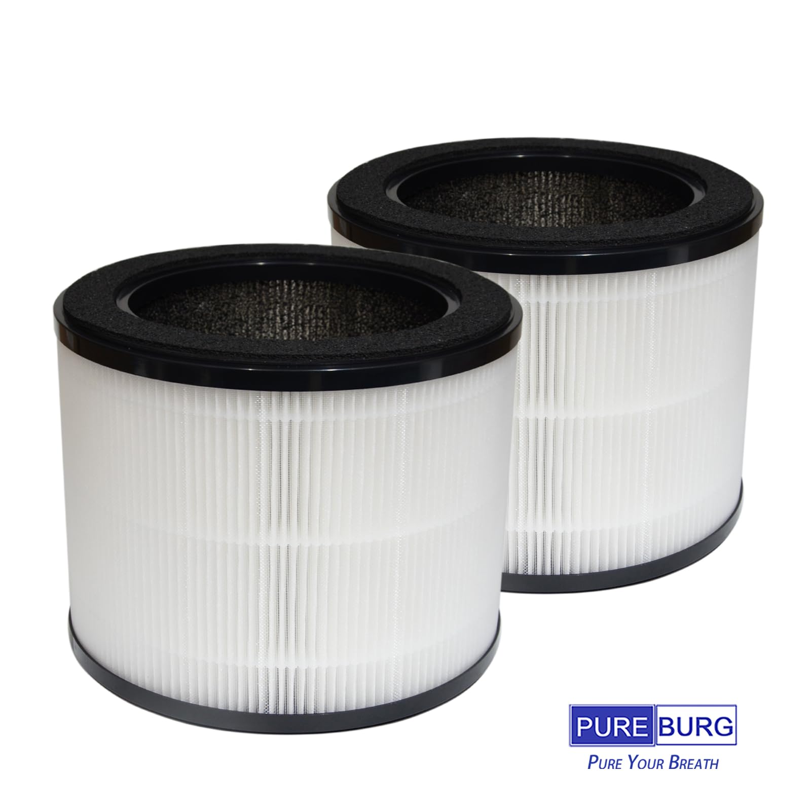 PUREBURG AIRMEGA 100 Lot de 2 filtres de rechange compatibles avec purificateur d'air Coway Airmega 100, charbon actif H13 en 3 étapes