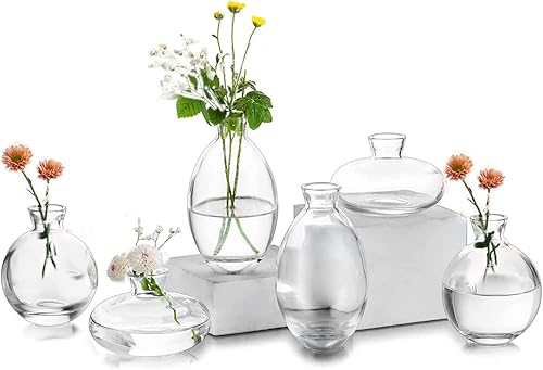 Small Vases for Centerpieces Glass Esmiome - Clear 2sets(6Pcs) Bud Vases, Short Minimalist Vase Clear Modern Flower Vase Mini Tiny Vases Cute
