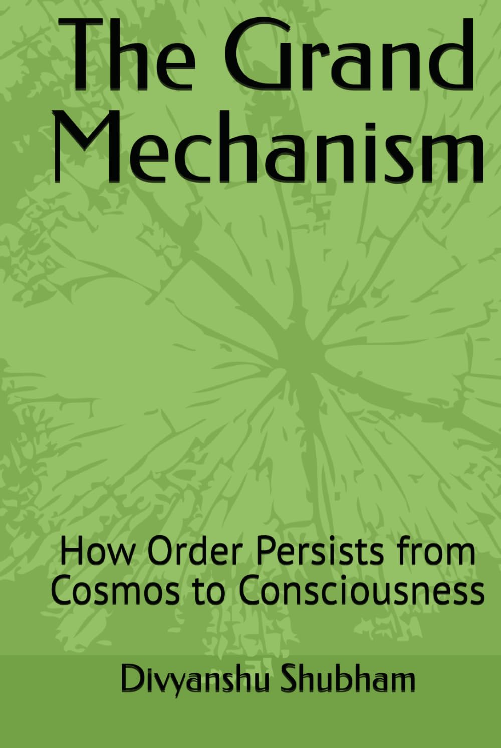 The Grand Mechanism: How Order Persists from Cosmos to Consciousness (The Order Trilogy: Structure · Action · Continuity)