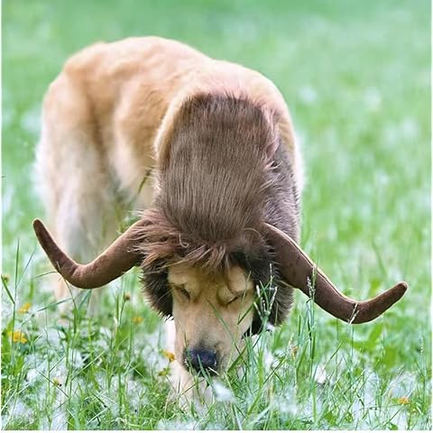 Lion Mane Wig for Dogs with Ears Cow Horn, Funny Pet Costumes for Halloween Christmas (L) Cover