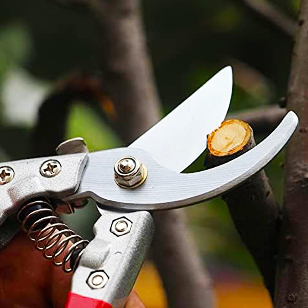 Forbici da Giardino Professionali, Cesoie da Potatura Giardinaggio 18cm