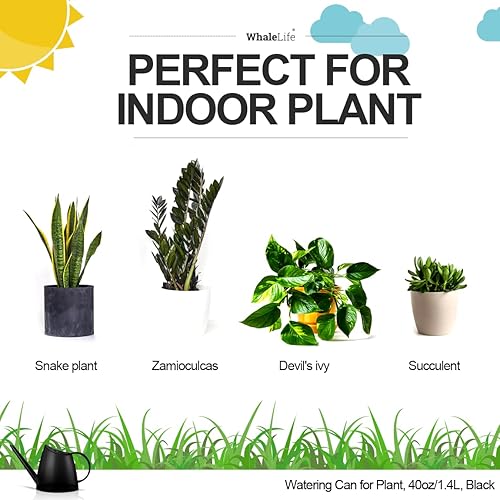 Miniatura 2 de WhaleLife Regadera interior para plantas de bonsái de casa (1.4L, negro)