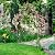 Heavy Duty Garden Arch Trellis for Climbing Plants Outdoor Garden Arbor Arches Flower Arch Arched Trellis for Raised Plant Support, Metal Arch Backdrop Stand for Wedding Party Christmas Decoration