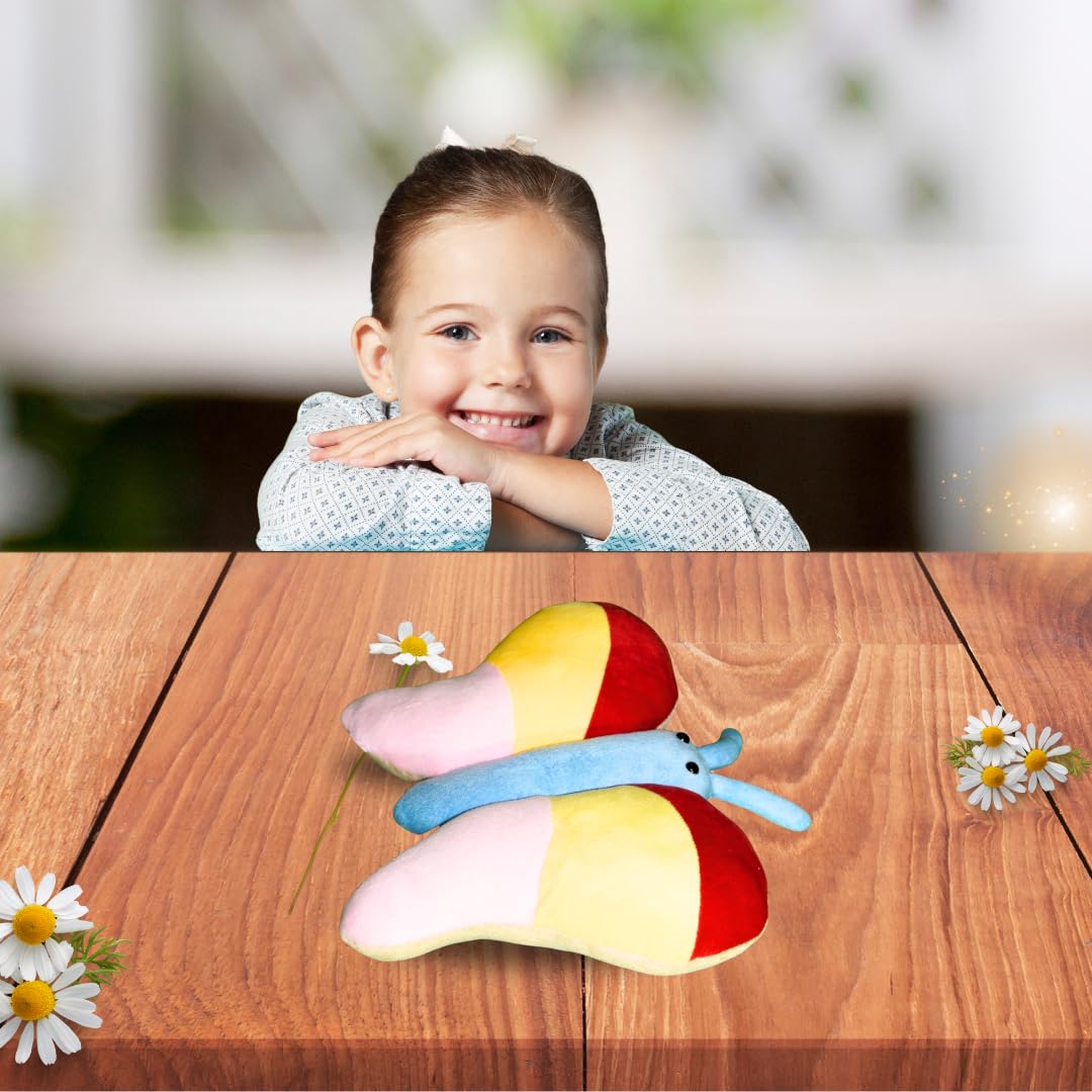 Daddy Kids Soft Butterfly Plush Toys for Kids (28X24CM)|Best Gift for Infants, Toddlers & Babies. (B0DG64SSB1) Amazon Price History, Amazon Price Tracker