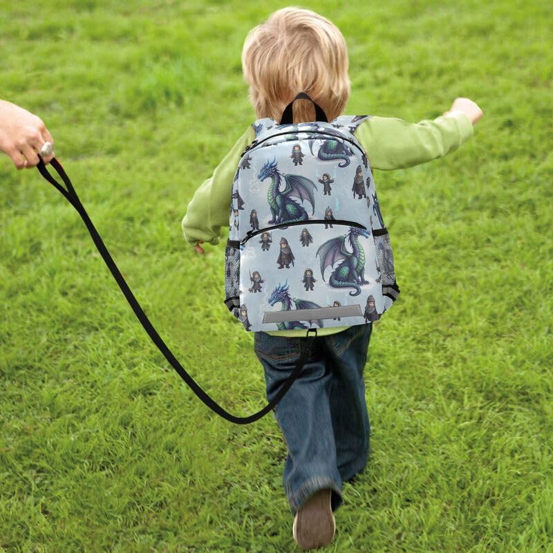 QUGRL Fairy Dragon Child Toddler Backpack for Boys Girls Kids School Backpack with Chest Strap Leash Preschool Schoolbag Nursery Kindergarten Bag for Daycare Travel Hiking School