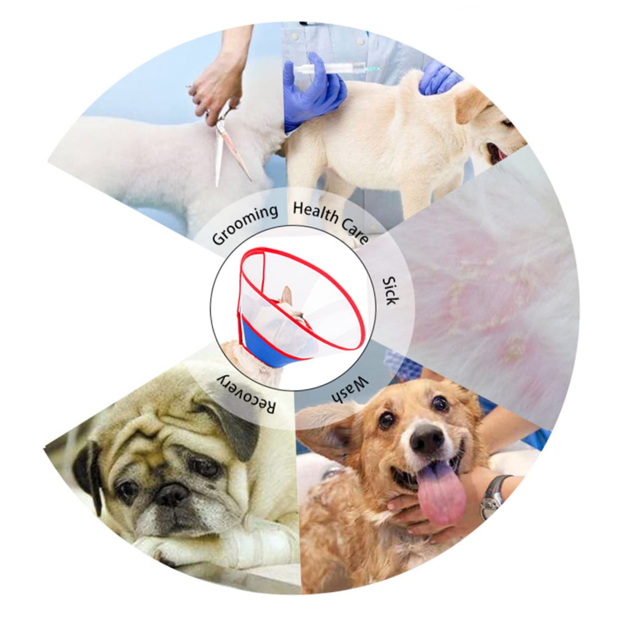 Kisangel 3stücke Einstellbarer Pet Cone Für Hunde Atmungsaktive Und Bequeme Halskrause Zur Wundheilung Verhindert Lecken Und Kratzen Transparent Geeignet Für Kleine Und Mittlere Hunde