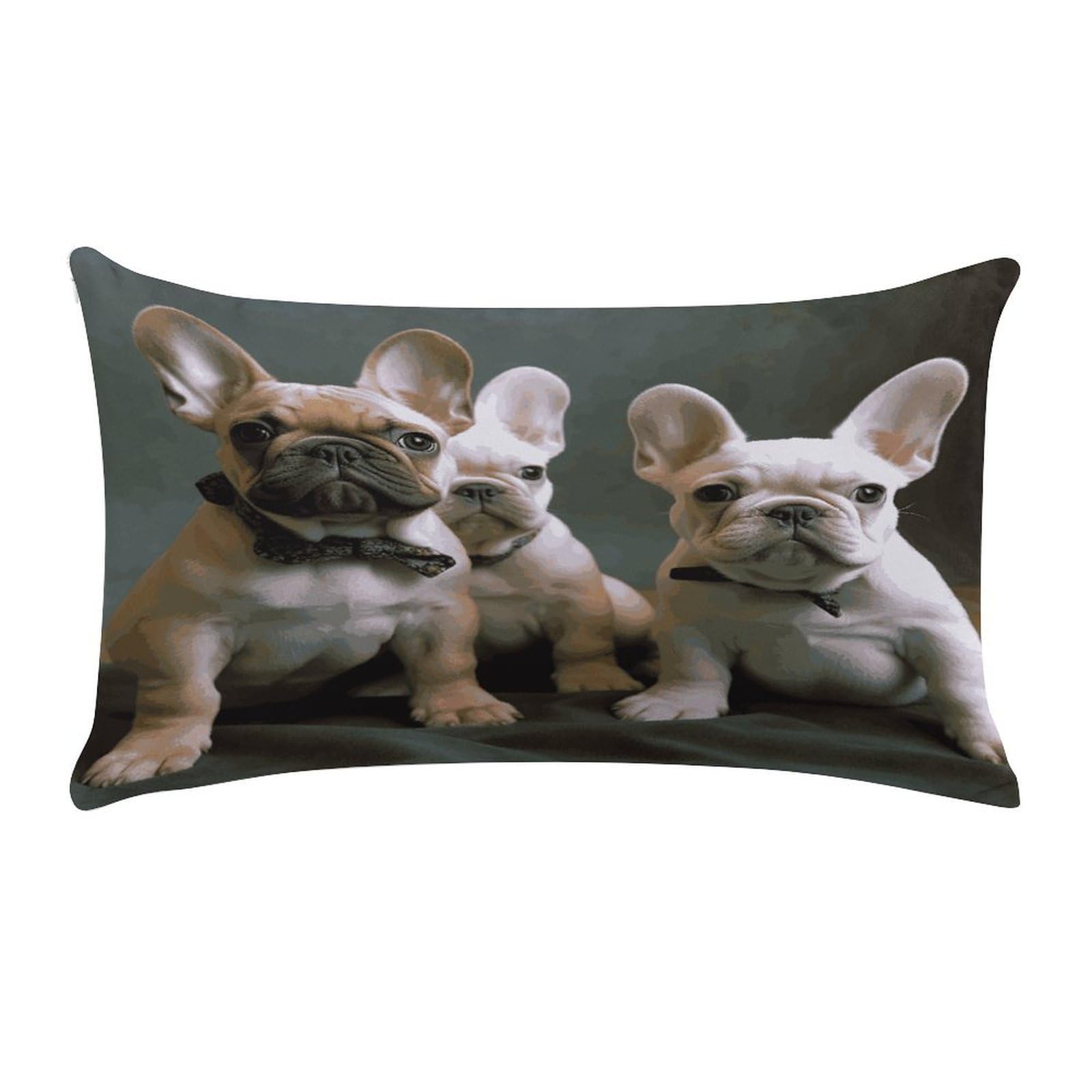 French Bulldog Puppies Pillow Cover Super Soft Pillowcase Luxury Cozy Fuzzy Velvet Pillow Shams Breathable Standard Pillow Cases with Zipper Wrinkle-Free Pillow Cover 12 "×20 "