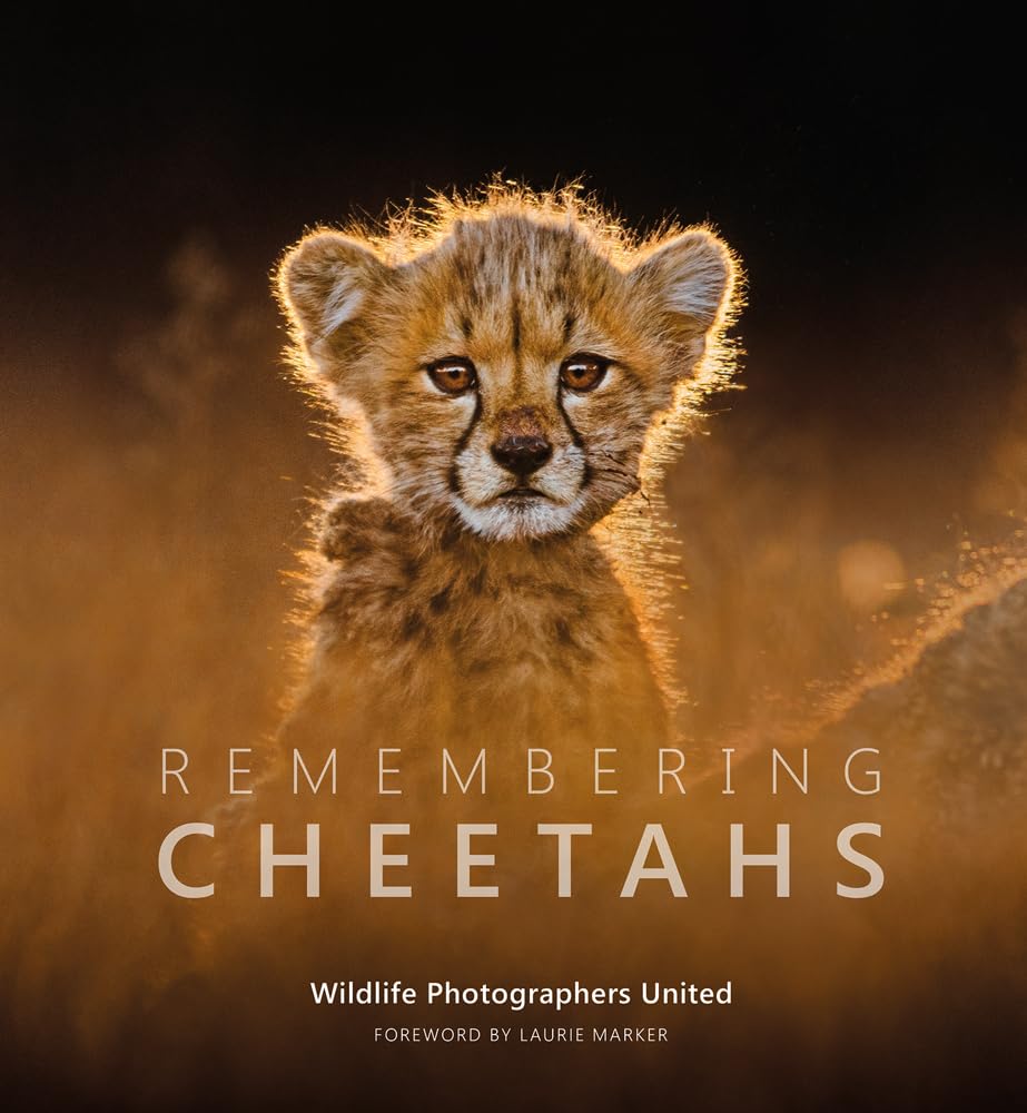 Remembering Cheetahs (Hardback Book)