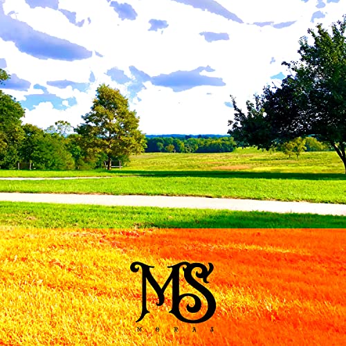 Amazon.co.jp שיר לנסיעות Moras Digital Music