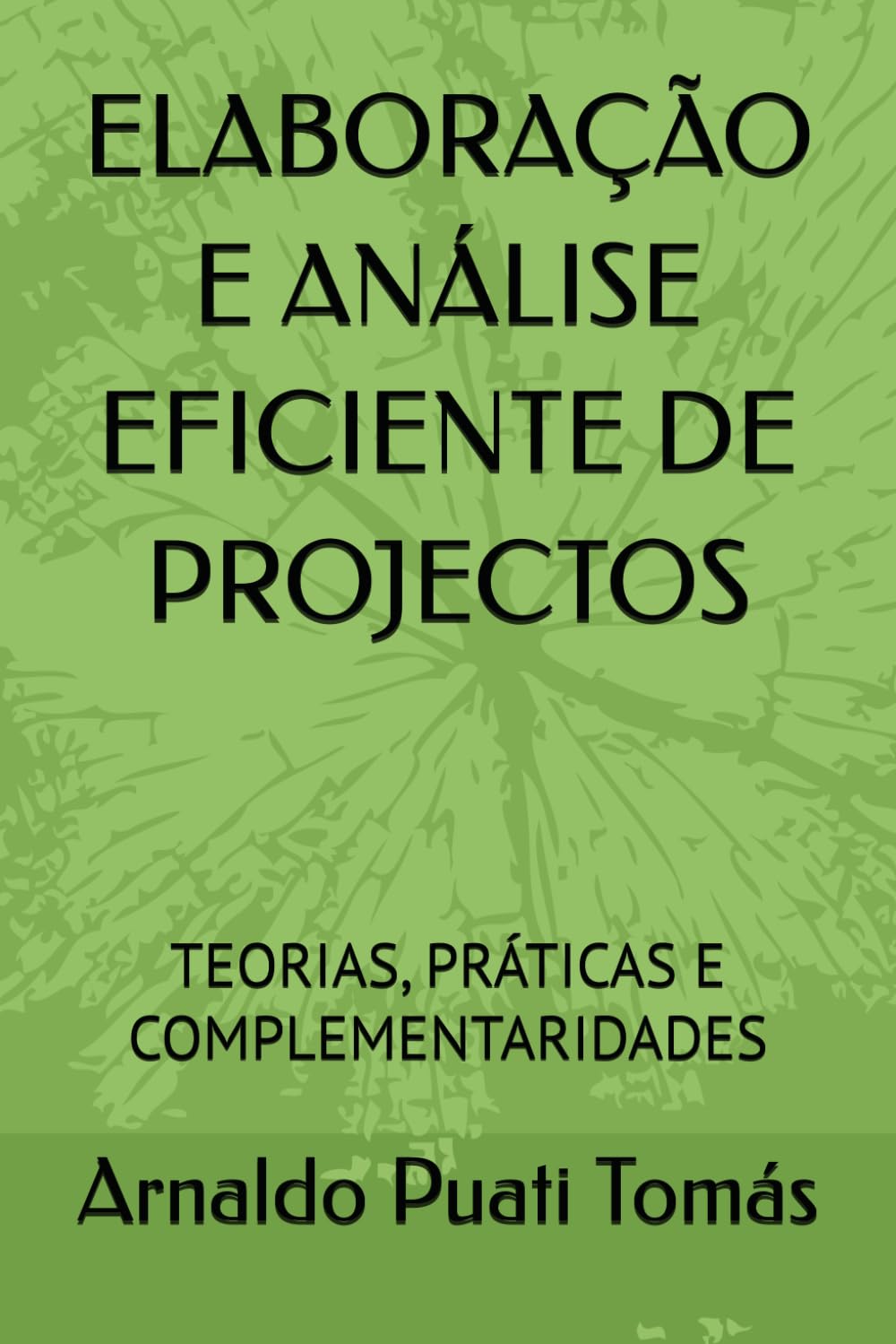 ELABORAÇÃO E ANÁLISE EFICIENTE DE PROJECTOS: TEORIAS, PRÁTICAS E COMPLEMENTARIDADES (Edições Académicas Arnaldo Puati Tomás)