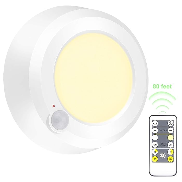 Buy BIGMONAT Wireless Ceiling Light Shower Light with RF Remote