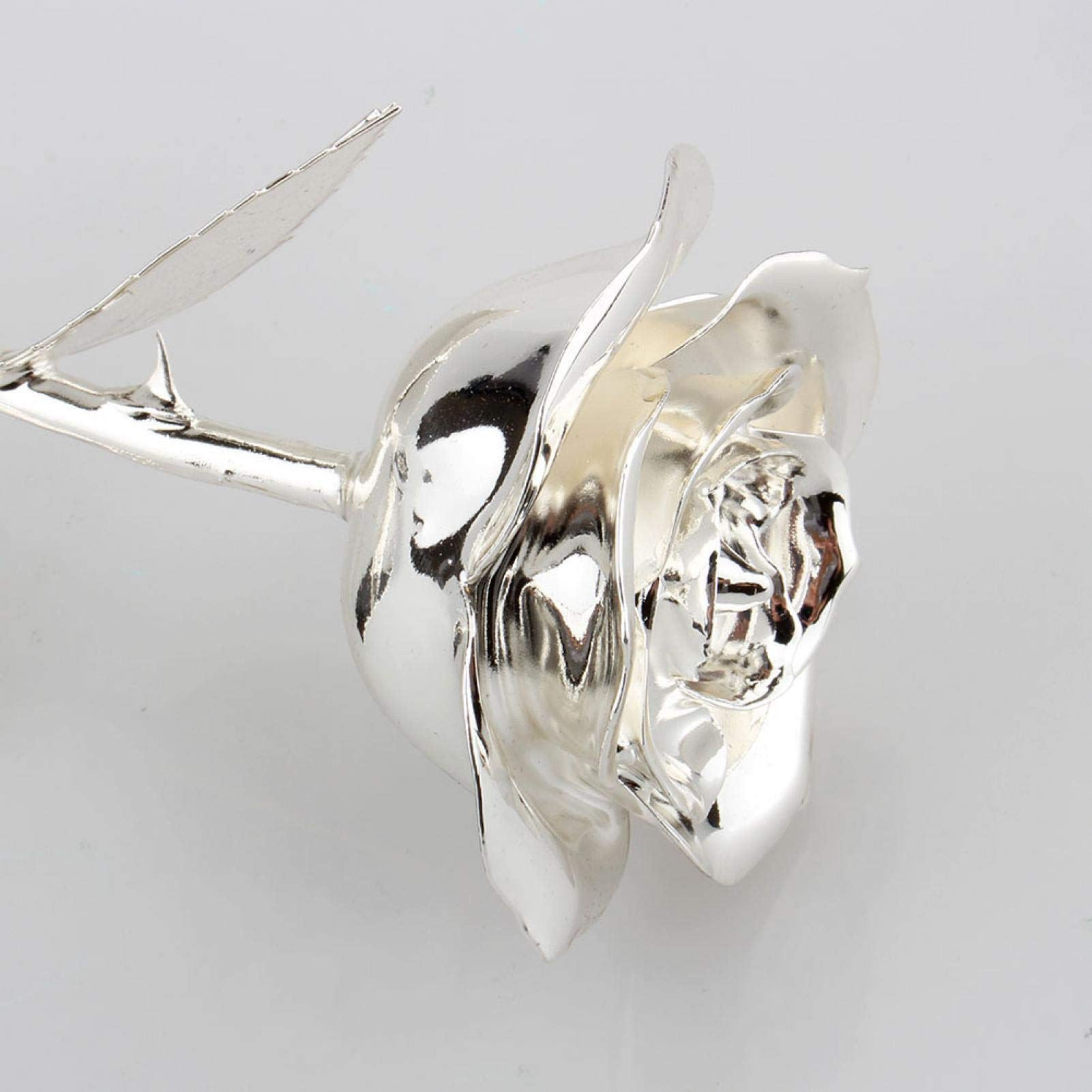 Rosa Stabilizzata Con Luci LED - Regalo Per Donna, Mamma, Moglie | Fiore Eterno Con Cupola Di Vetro