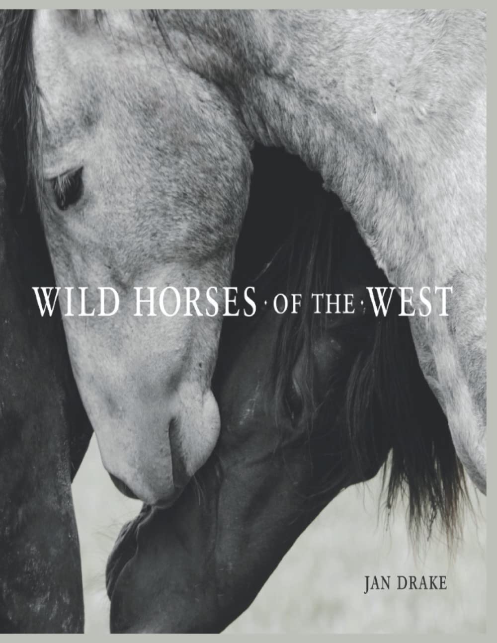 Wild Horses of the West (Color Book), Paperback