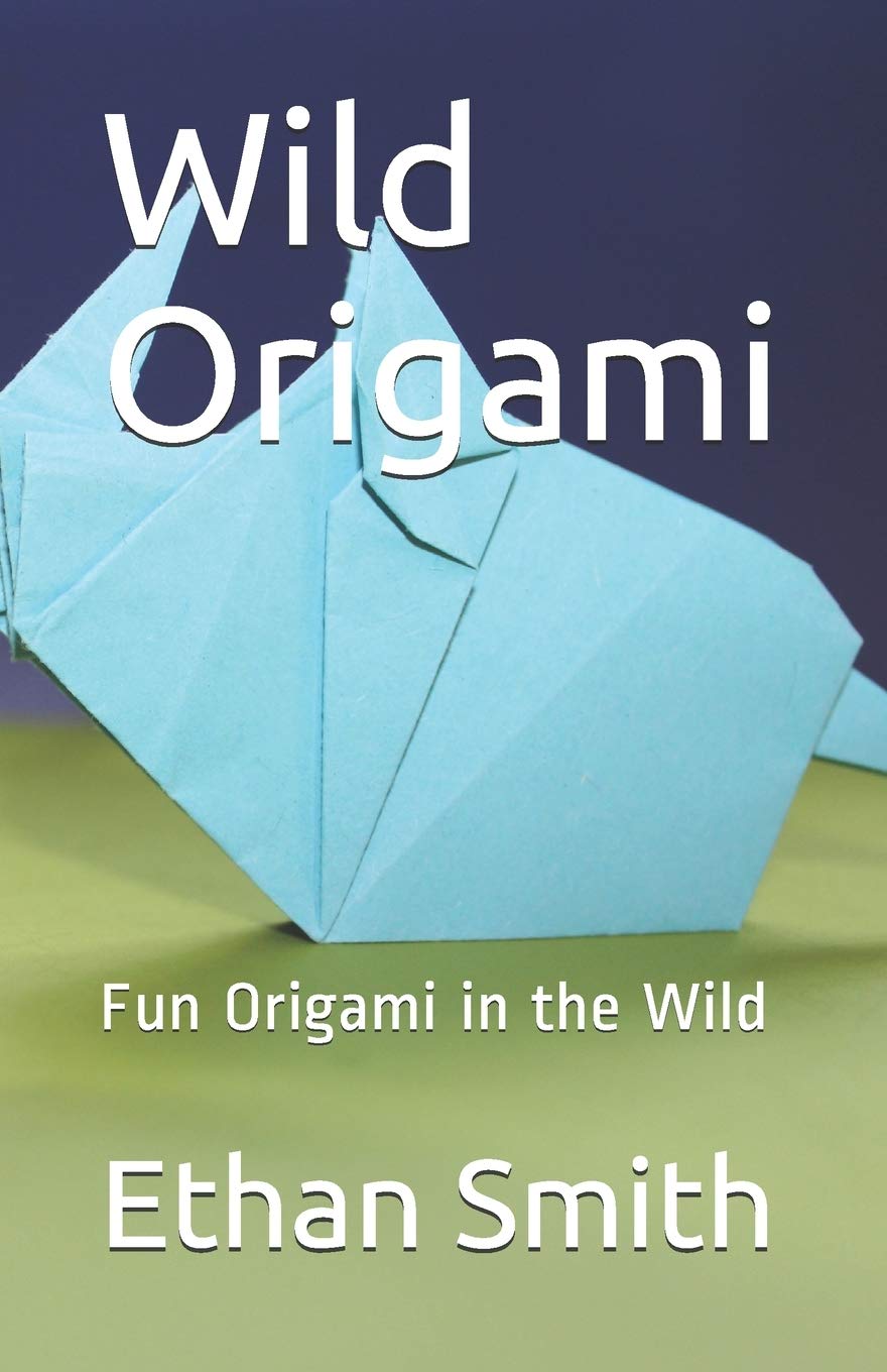 Wild Origami: Fun Origami in the Wild