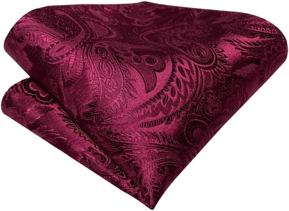 GSDFVIYT ペイズリー柄 無地 蝶ネクタイセット ビジネス ウェディング 蝶結び セルフタイ 蝶ネクタイ 新郎 パーティー ア