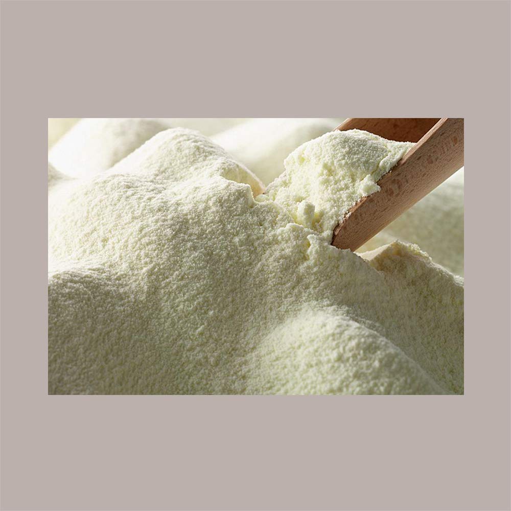 LUCGEL Leche en polvo instantánea desnatada sin lactosa 1 Kg