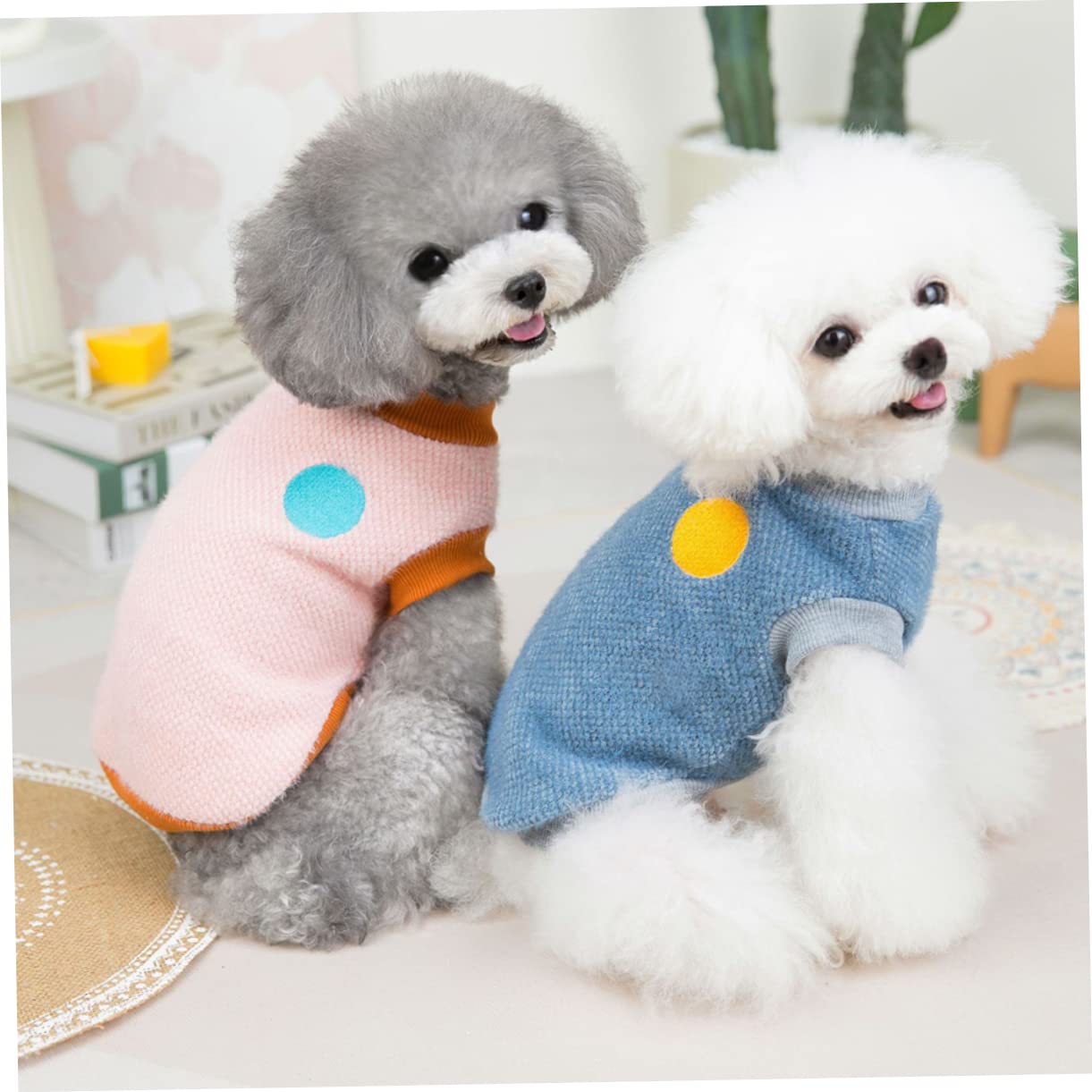 BESPORTBLE 5pezzi Costume per Comodo e Giubbotto Imbottito per Abbigliamento per Animali Domestici per e Speciali Media
