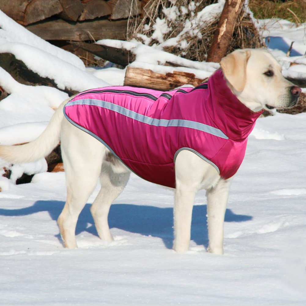 FEimaX Abrigo para Perros de Invierno Chaqueta Impermeable Ropa a Prueba de Viento con Forro Polar y Orificio para Arnés, Chaleco Cálido Duradero para Perro Pequeños Medianos Grandes y Mascotas