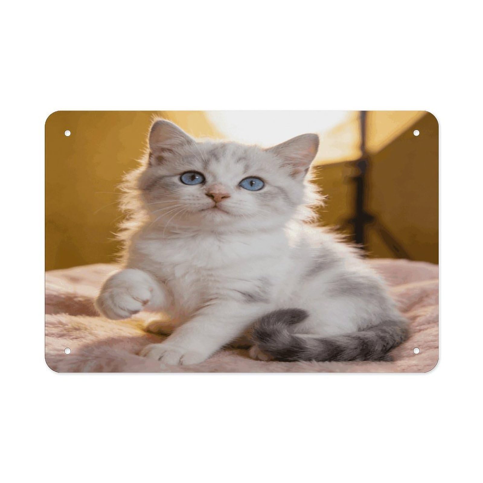 Khauerbc Style Cute Kitten Tin Sign Iron Sheet Painting Unframed 11.8X7.9 Inch Metal Poster Wall Decor Iron Painting Wall Prints For Living Room Bedroom Office Home Decor