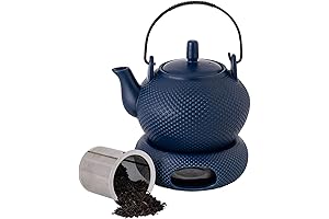 TEATALK Japanese Tea Kettle with Warmer