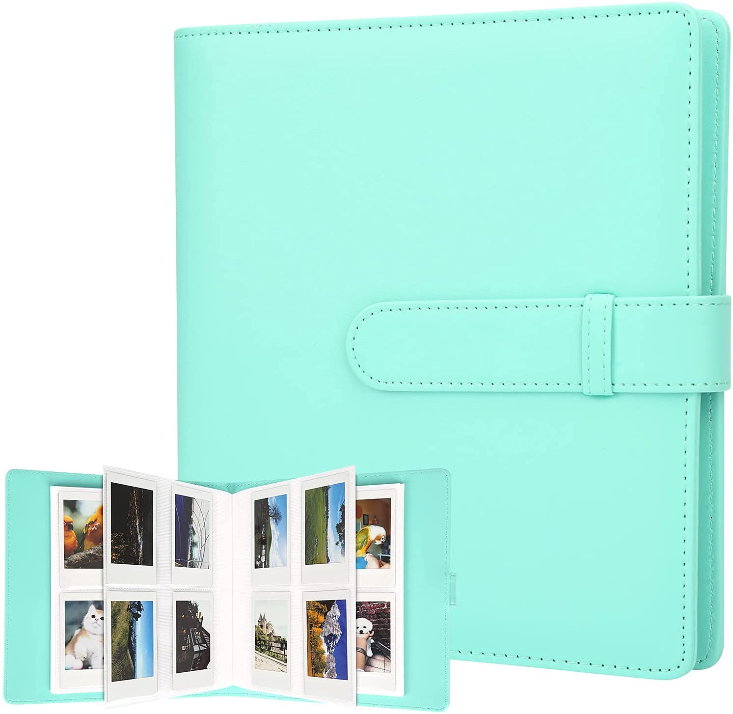 256 Pockets Mini Photo Album for Fujifilm Instax Mini Camera, Fits Polaroid Snap, Z2300,PIC-300,SocialMatic Instant Cameras & Zip Instant Printer (Green)