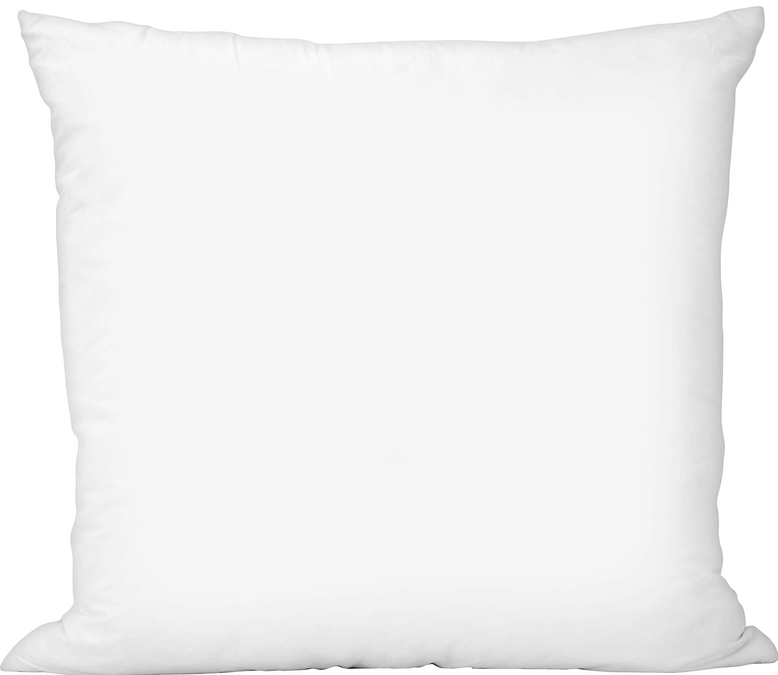 WestexUrban Loft Feather Cushion Insert, White, 22 x 22